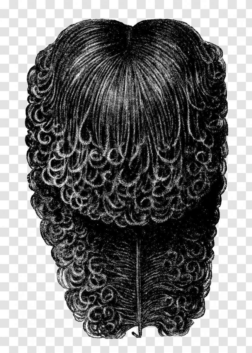 Hair Digital Stamp Wig Feather Postage Stamps - Black - Illustration Transparent PNG