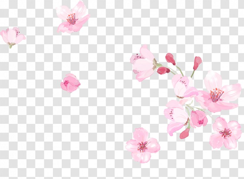 Pink Cherry Blossom Clip Art - Small Fresh Blossoms Transparent PNG