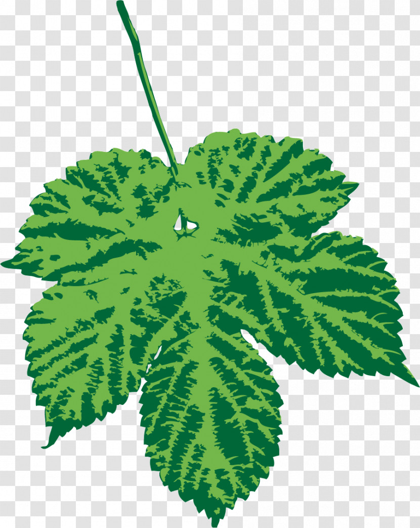 Maple Leaf Transparent PNG