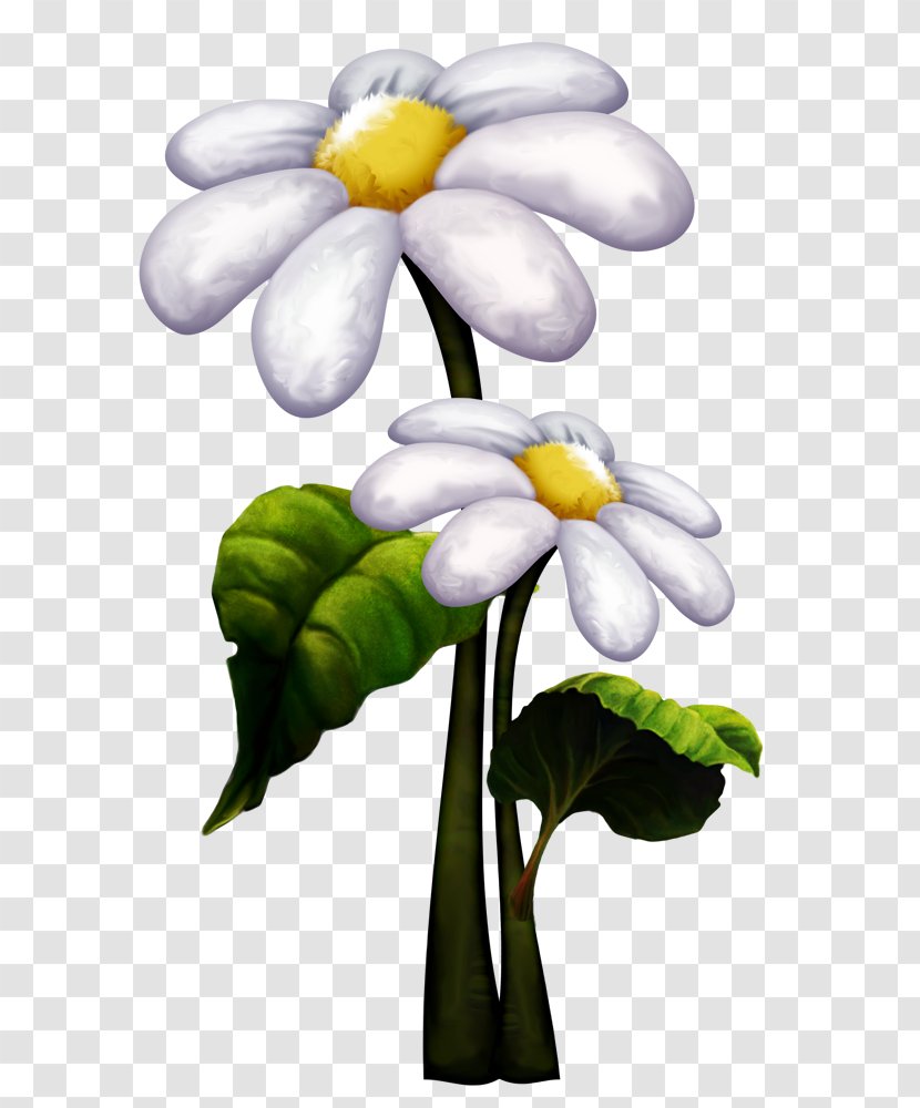 Duende Photography Image Flower - Spring Transparent PNG