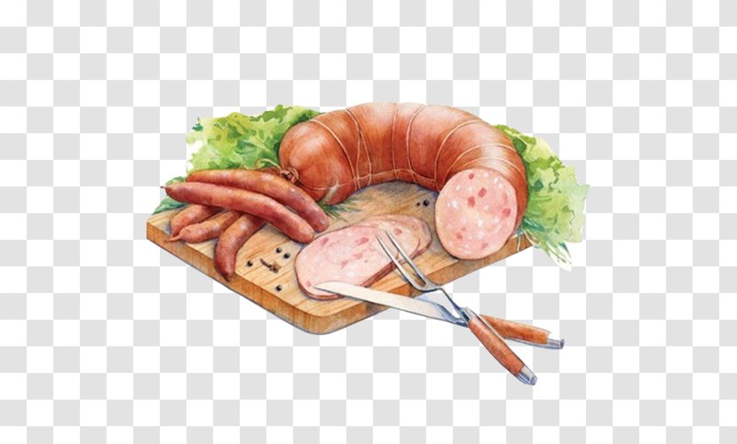 Bratwurst Delicatessen Bacon Frankfurter Wxfcrstchen Ham - Falukorv - Sausage Hand Painting Material Picture Transparent PNG