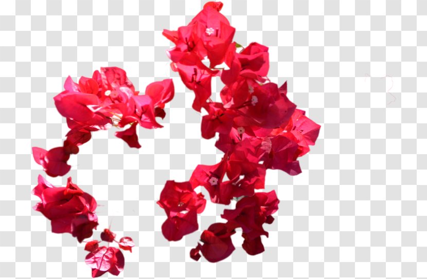 Pink Flowers Background - Cut - Lei Bougainvillea Transparent PNG