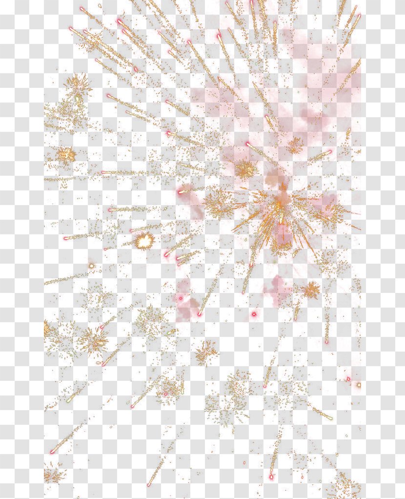Petal Floral Design Flower Pattern - Branch - Fireworks Transparent PNG