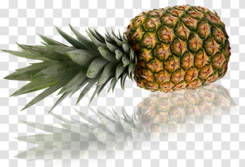 Pineapple Marmalade Blog Wart Fruit - Tag Transparent PNG