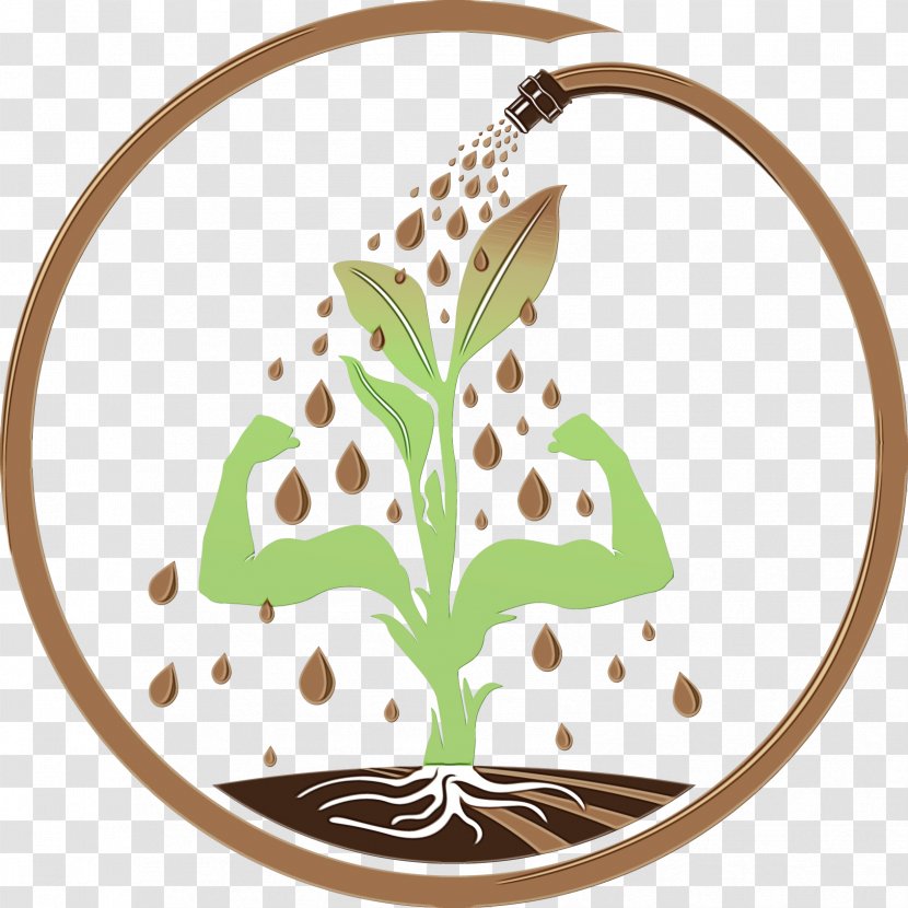 Green Leaf Watercolor - Tableware - Logo Plant Transparent PNG