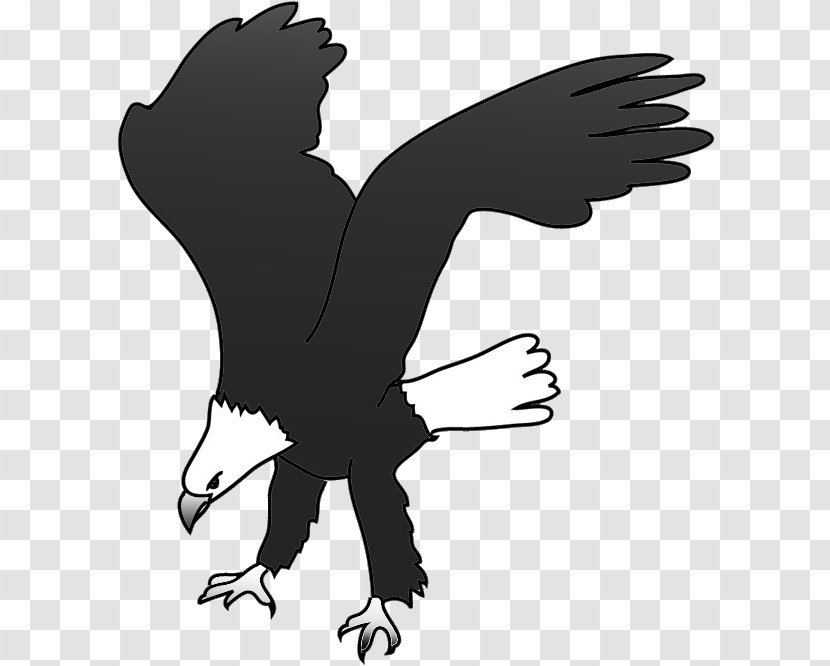 Eagle Silhouette Bird Drawing Clip Art - Wing Transparent PNG