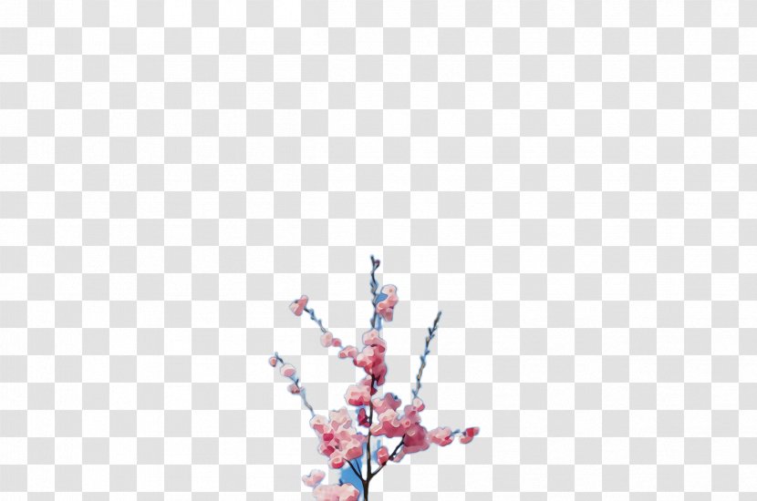 Cherry Blossom - Paint Transparent PNG