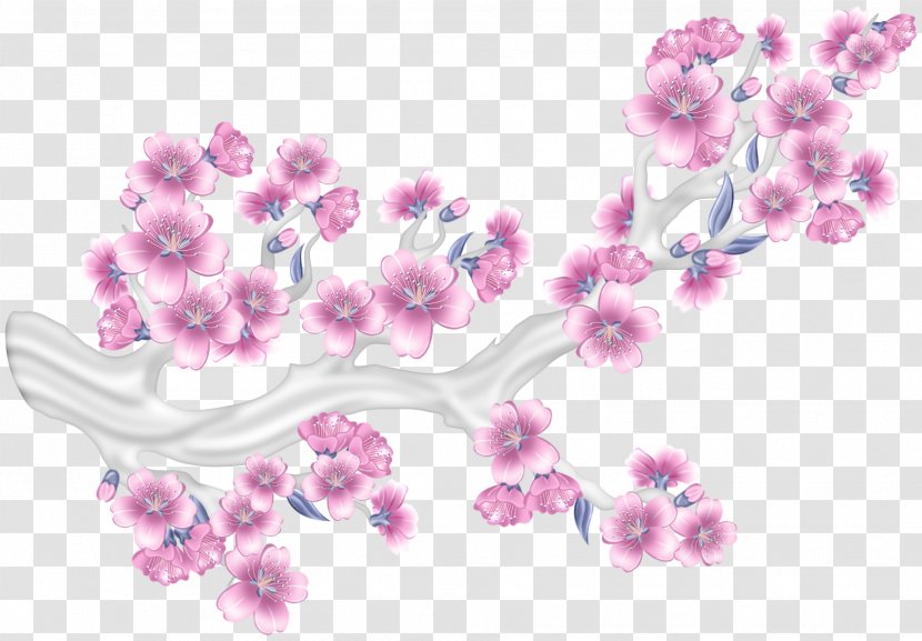 Pink Flower Clip Art - Violet - Cherry Blossom Transparent PNG