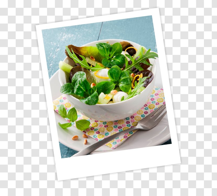 Salad Arugula Lettuce La Tendresse Flowerpot - Shoot Transparent PNG