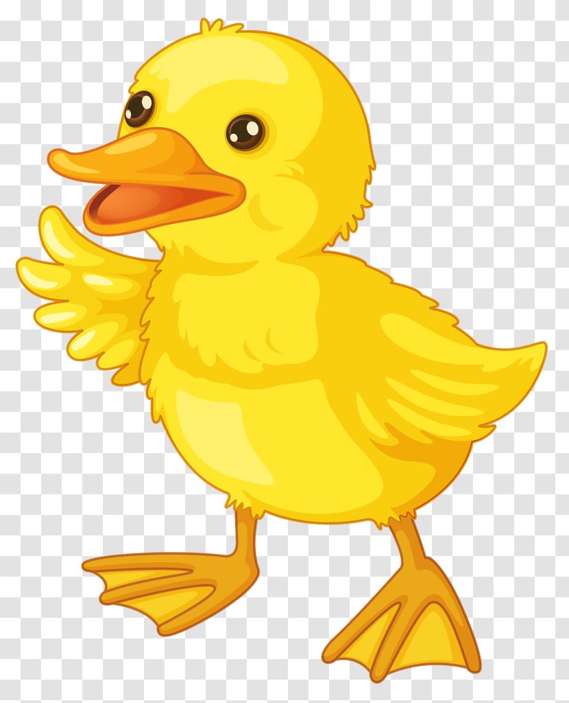 American Pekin Duck Cartoon Clip Art - Beak Transparent PNG