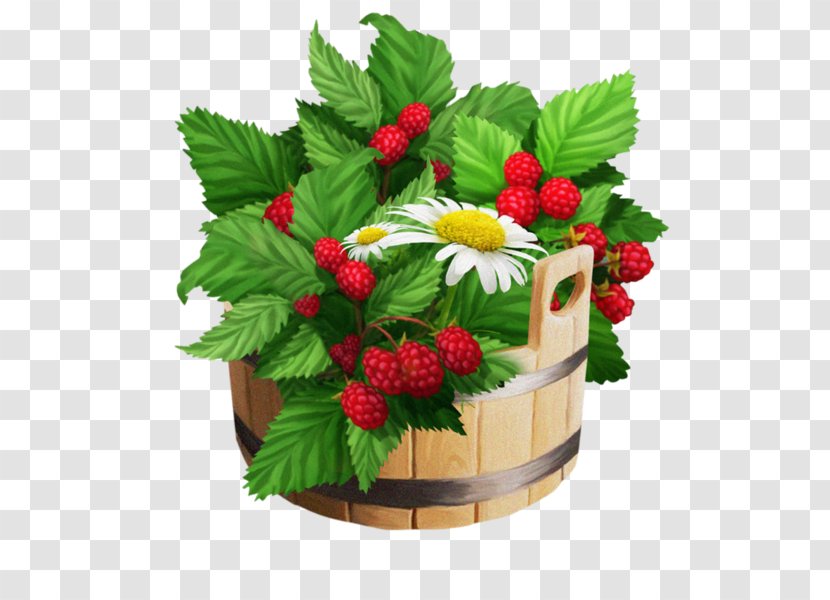 Raspberry Fruit - Mulberry - Casks And Raspberries Transparent PNG