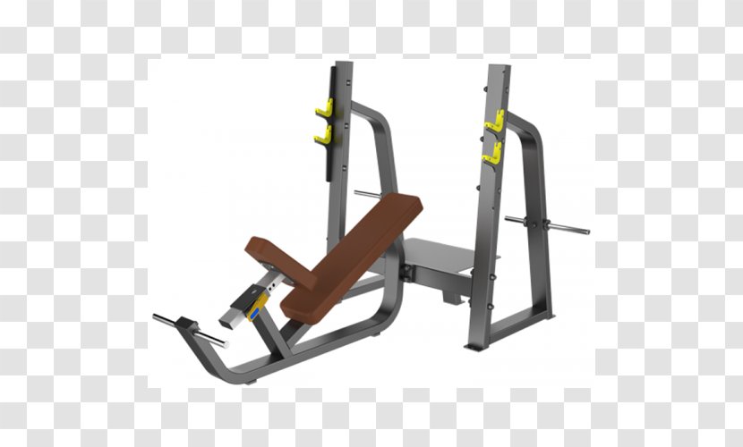 Exercise Equipment Fitness Centre Weight Training Bench - Machine - Bodybuilding Transparent PNG