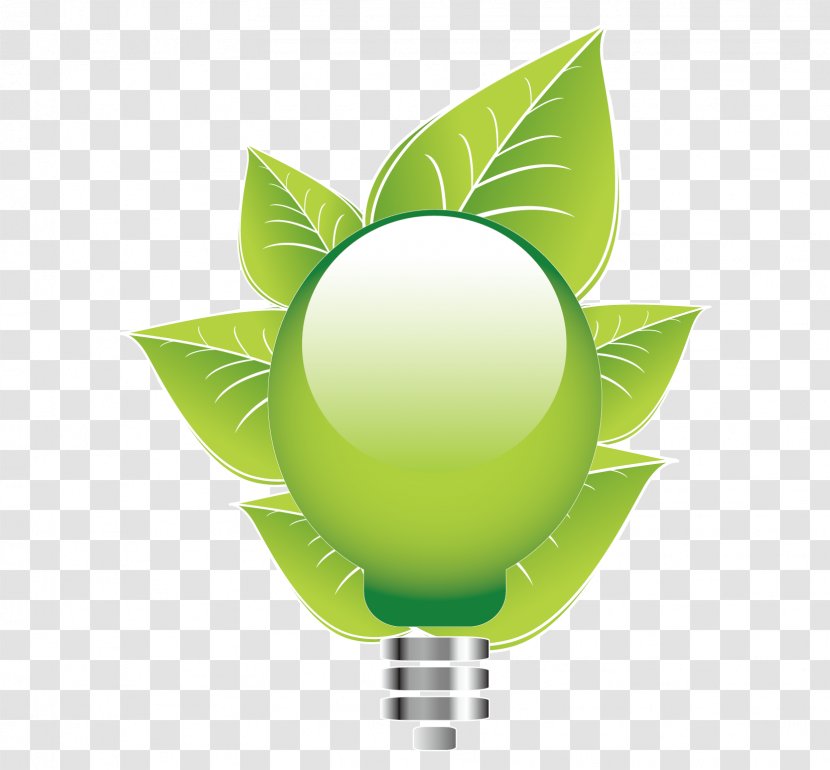 Vector Graphics Image JPEG Incandescent Light Bulb Energy Conservation - Saving Transparent PNG