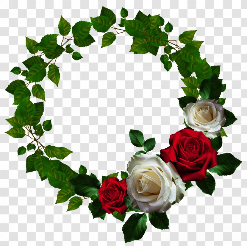 Picture Frame Flower Clip Art - Web Browser - Round Roses Floral Ornament Wreath Transparent PNG