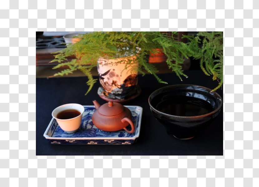 Coffee Cup Ceramic Saucer Flowerpot - Serveware Transparent PNG