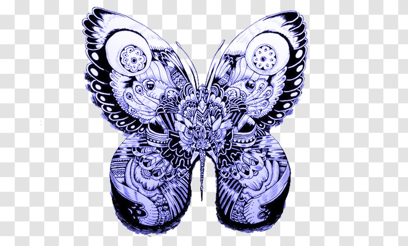 Swindon Illustrator Art Illustration - Invertebrate - Blue Butterfly Transparent PNG