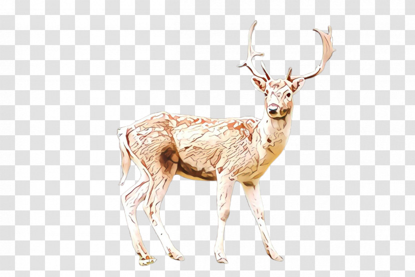 Reindeer Transparent PNG