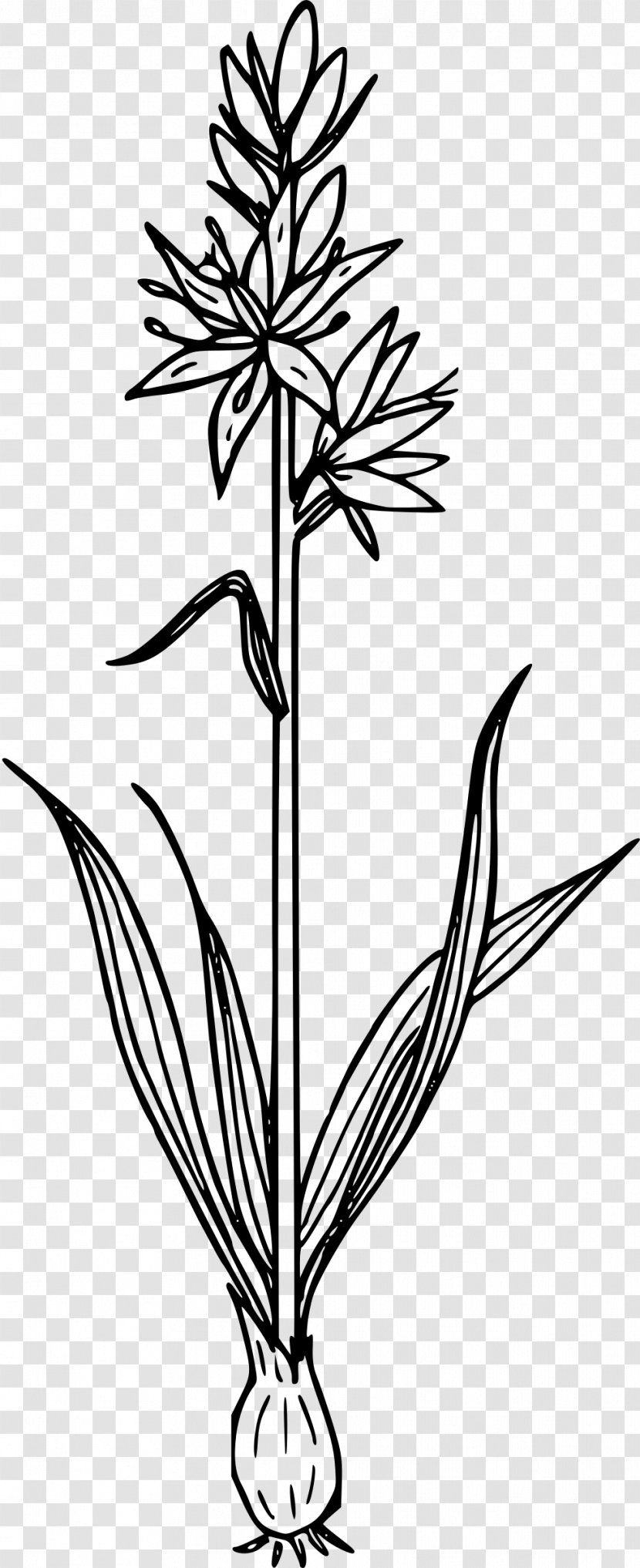Line Art Plant Clip - Tree - Flower Clipart Transparent PNG