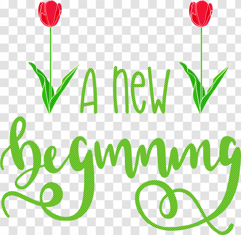 A New Beginning Transparent PNG