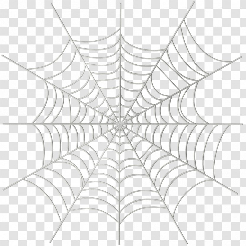 Spider Web Illustration - White - Painted Material Picture Transparent PNG