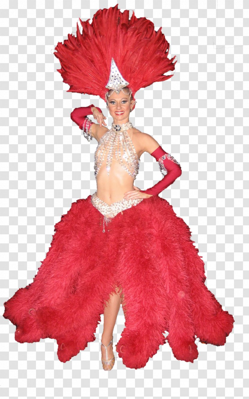 Red Background - Feather Boa - Gown Wig Transparent PNG