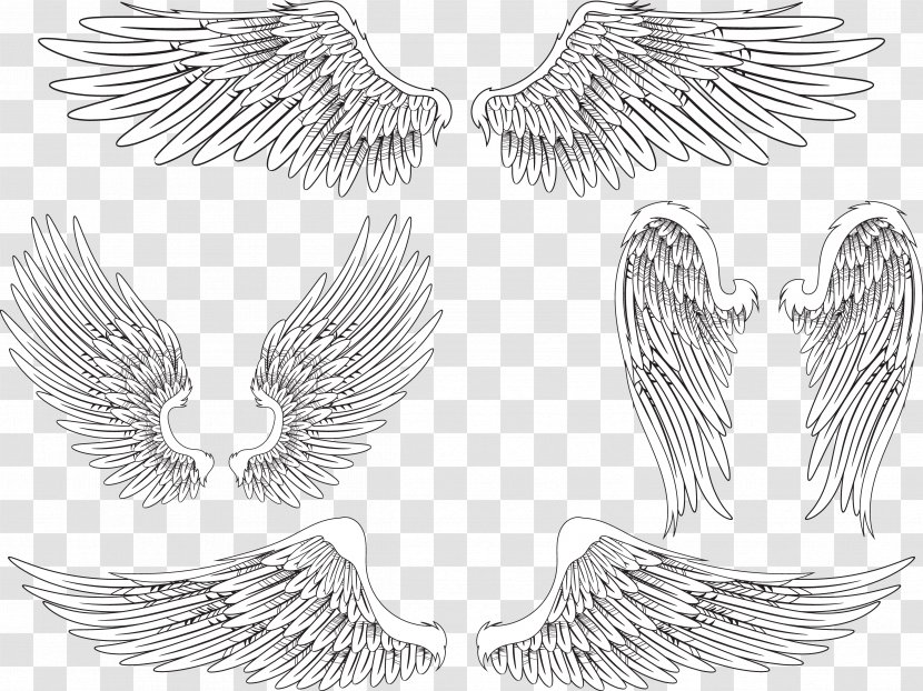 Angel Wing Bird Feather - Flight - Creative Wings Transparent PNG