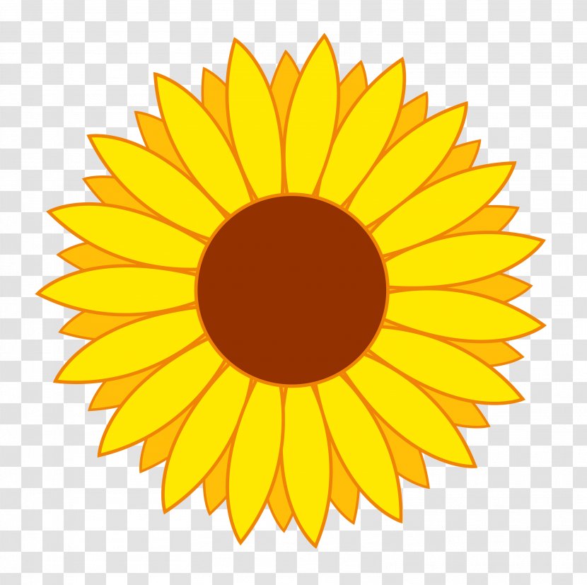 Common Sunflower Clip Art - Cut Flowers - Flower Vector Transparent PNG