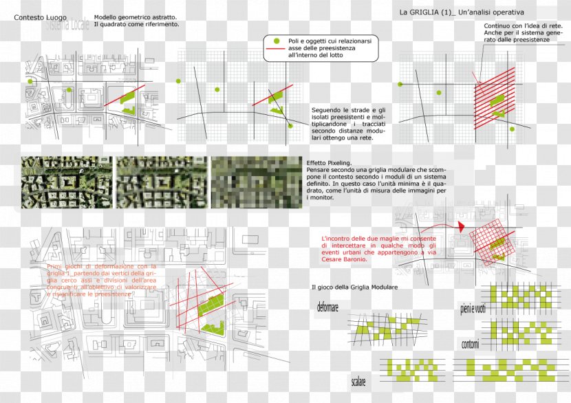 Diagram - Plant - Design Transparent PNG