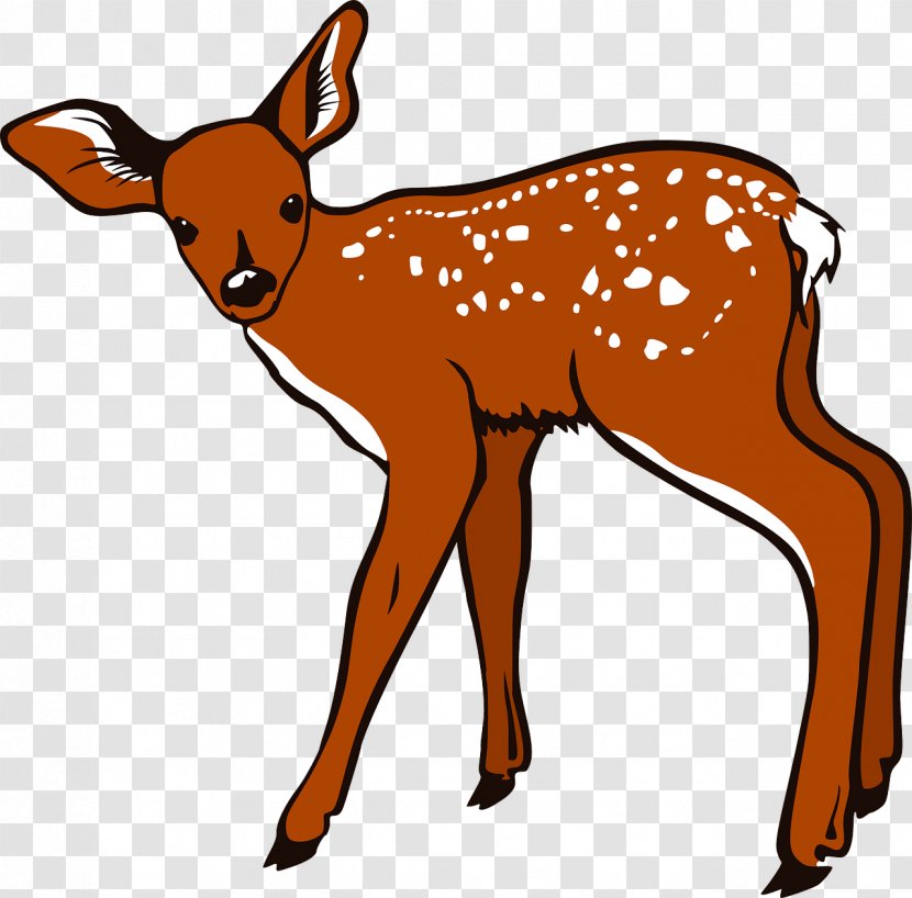 Deer Mammal Download Clip Art - Fauna - Brown Transparent PNG