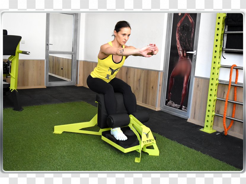 Physical Fitness Sisi Exercise Machine Squat - Frame - Gym Squats Transparent PNG