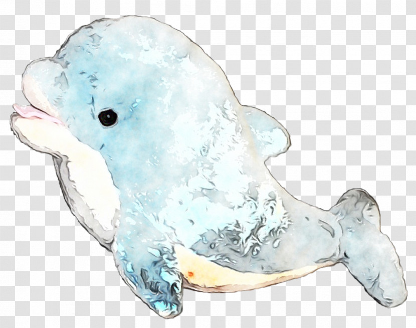 Birds Porpoises Cetaceans Beak Whales Transparent PNG