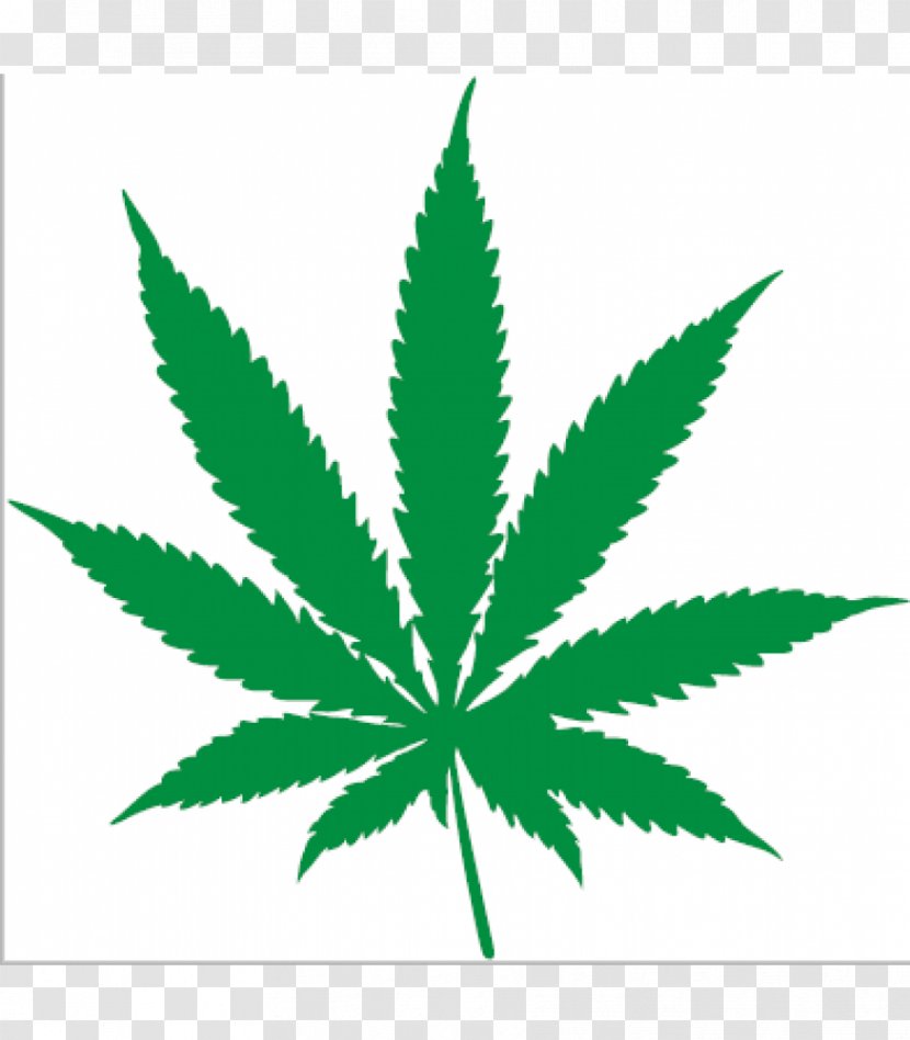 Cannabis Ruderalis Hemp Leaf Sativa Transparent PNG