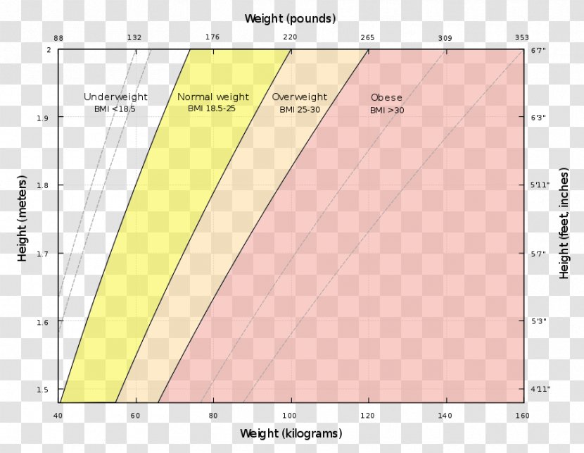 Body Mass Index Human Weight Loss Adipose Tissue - Elevation Transparent PNG