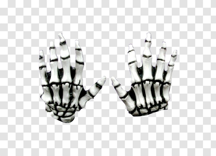 Human Skeleton Bone Hand Finger - Muscle Transparent PNG