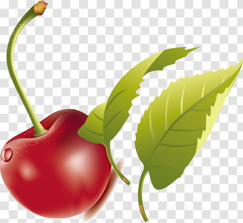 Cherry Euclidean Vector Clip Art - Apple - Green Leaves, Red Fruit, Transparent PNG
