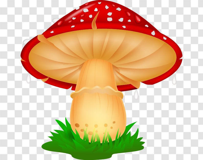 Mushroom Photography Illustration - Peach - Cartoon Beautifully Fresh Mushrooms Transparent PNG