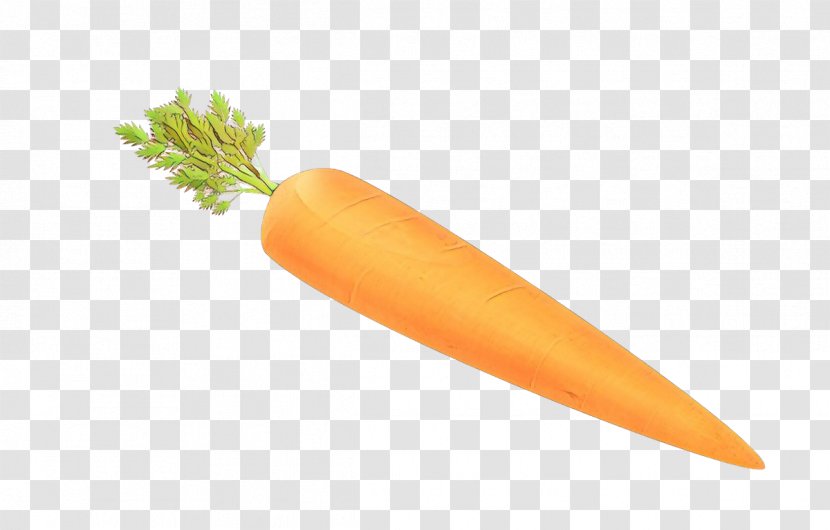 Carrot Vegetable Root Wild Food - Vegetarian - Baby Transparent PNG