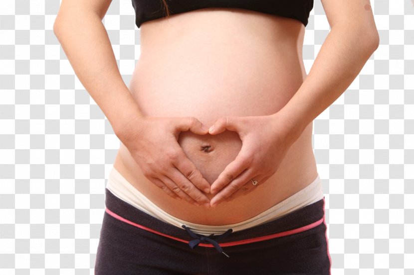 Woman Menstruation Pregnancy U5b55u5987 Mother - Heart - Pregnant Woman,belly,pregnancy,Mother,Pregnant Transparent PNG