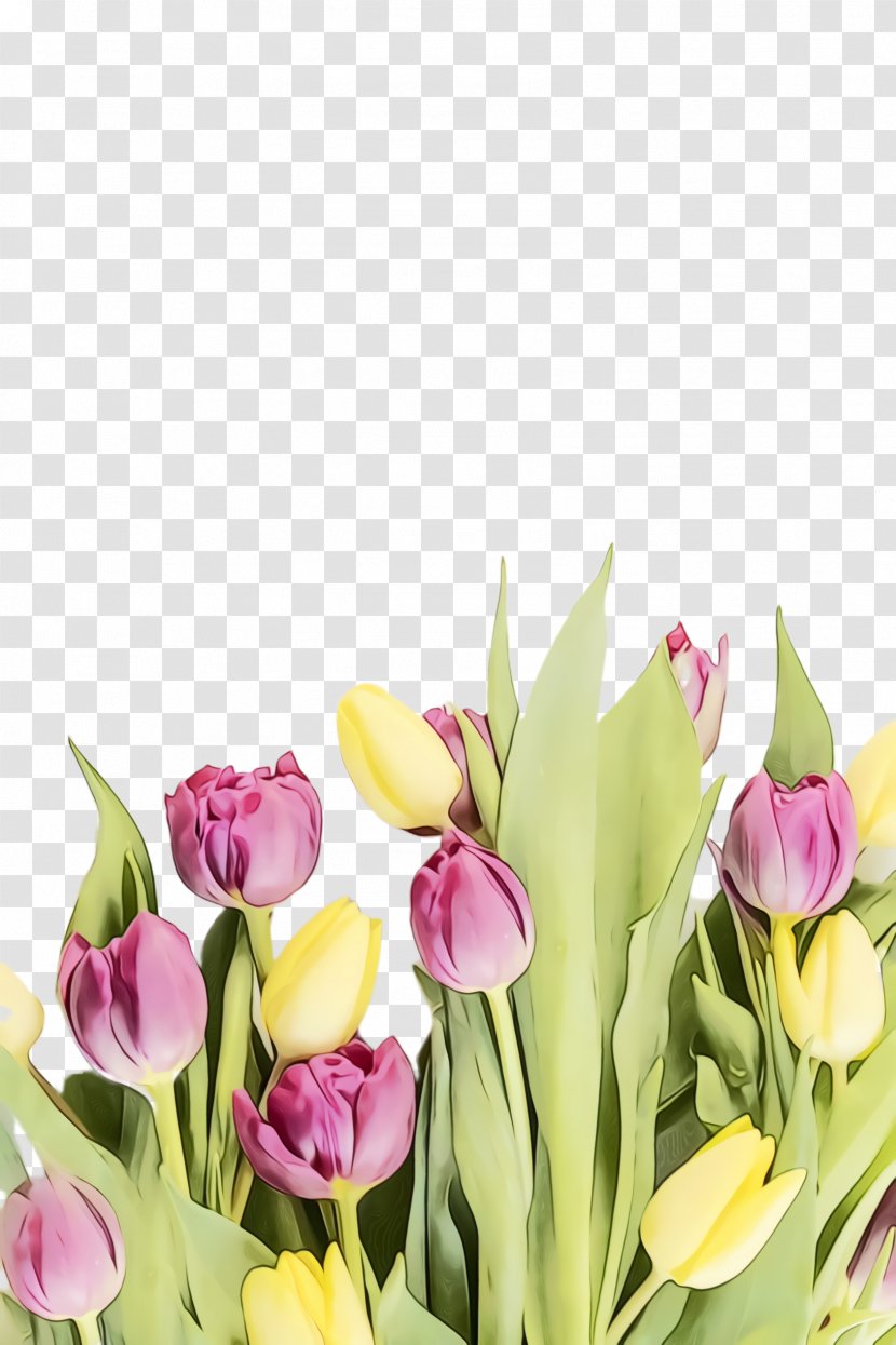 Floral Design - Wet Ink - Floristry Iris Transparent PNG