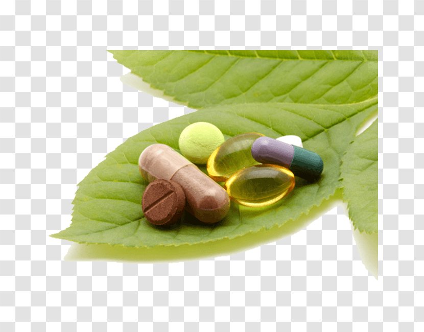 Orthomolecular Medicine Dietary Supplement Naturopathy Pharmacy - Pharmacist - Health Transparent PNG