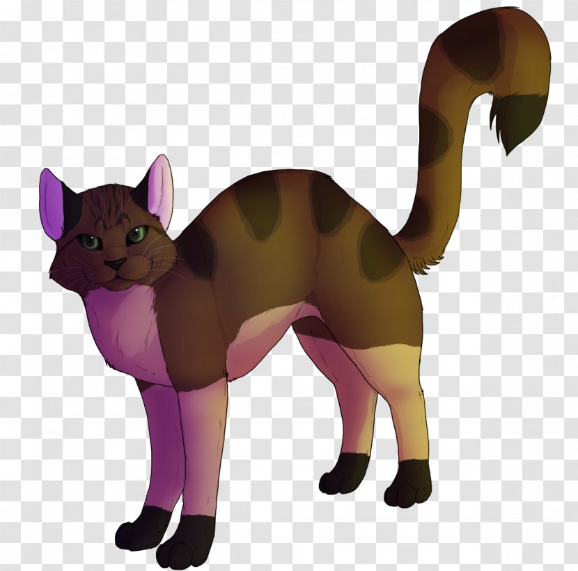 Whiskers Cat Paw Cartoon Tail - Mammal Transparent PNG