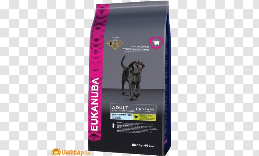 Puppy Cat Food Labrador Retriever Eukanuba Dog Transparent PNG