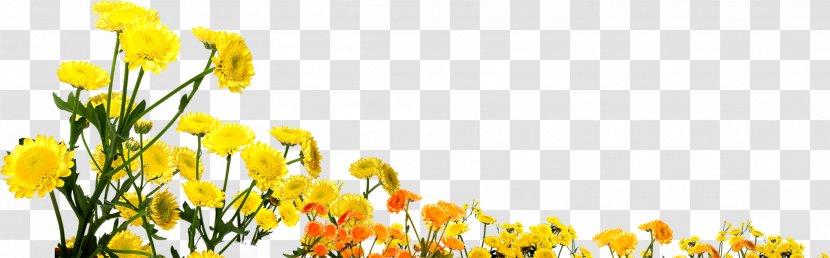 Flower Bouquet Common Sunflower Transparent PNG