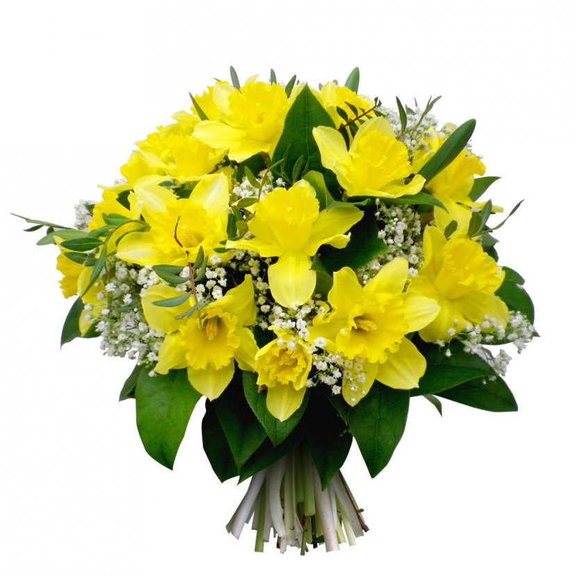 Flower Bouquet Jonquille Grandmother's Day Garden Roses - Mimosa Transparent PNG