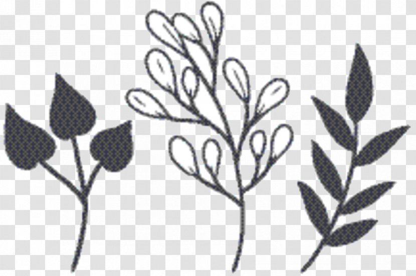 Leaf Drawing - Branch Pedicel Transparent PNG