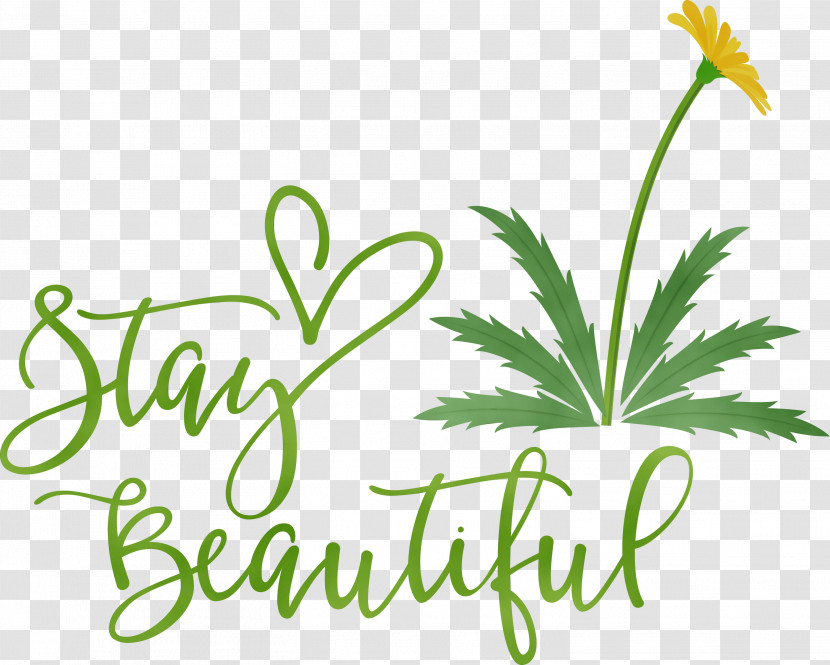 Leaf Plant Stem Flower Logo Herbal Medicine Transparent PNG