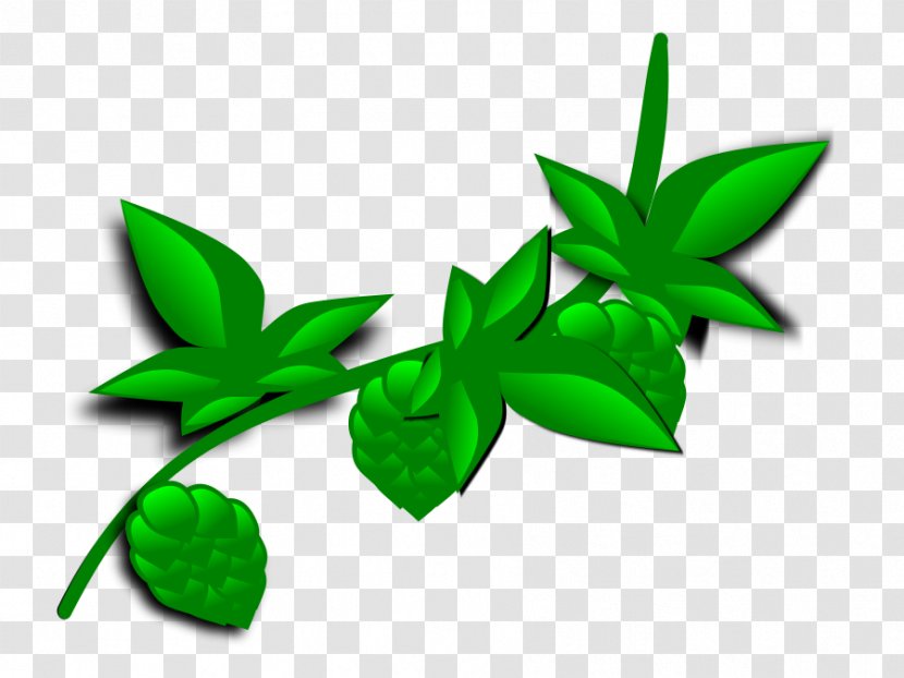 Plant Leaf Clip Art - Green - Cartoon Holly Transparent PNG
