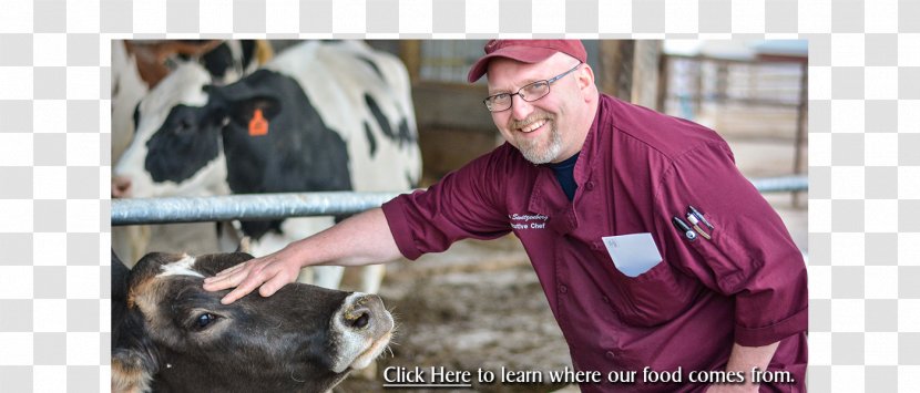 Cattle Dairy Products - Farm Fresh Transparent PNG