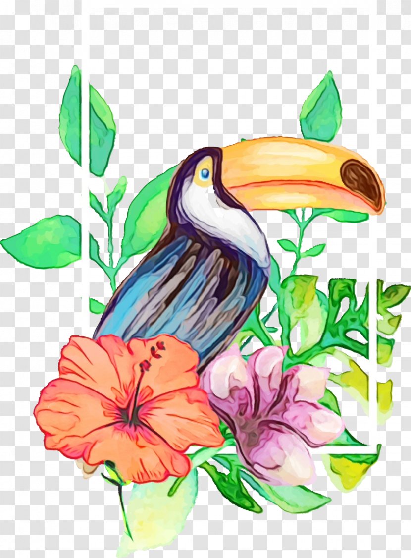 Watercolor Floral Background - Beak - Flower Coraciiformes Transparent PNG