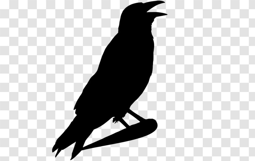 Crow Common Raven Clip Art - Family Transparent PNG